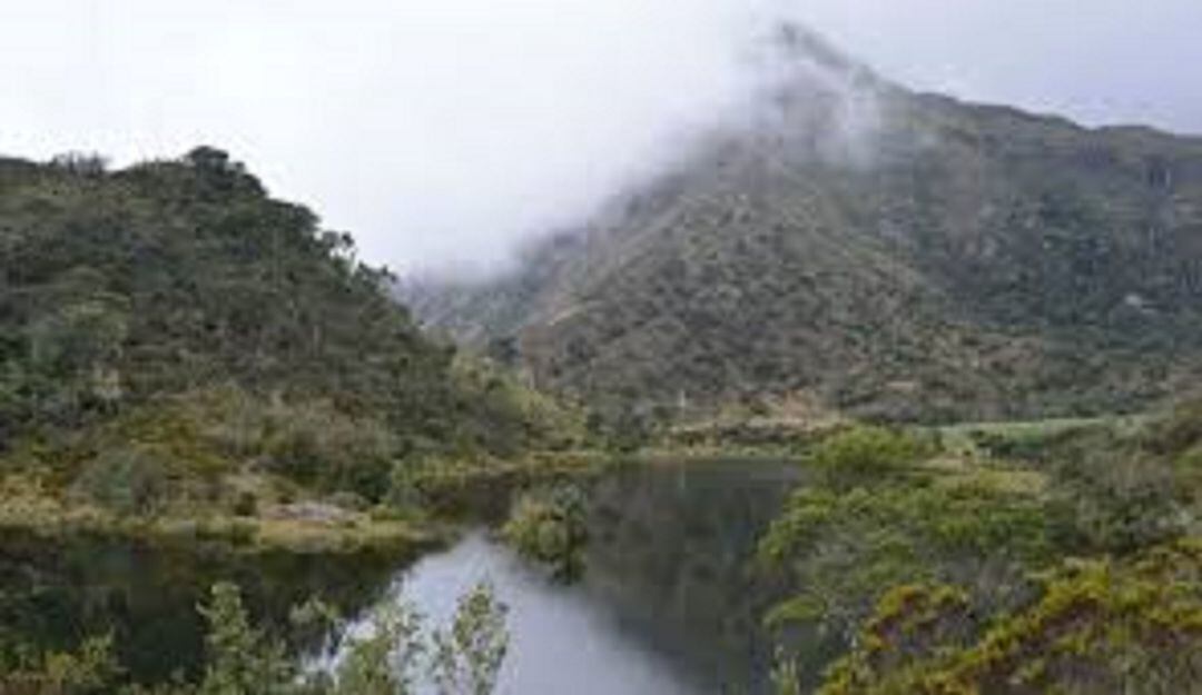 Páramo. (Referencia).