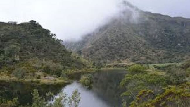 Páramo. (Referencia).