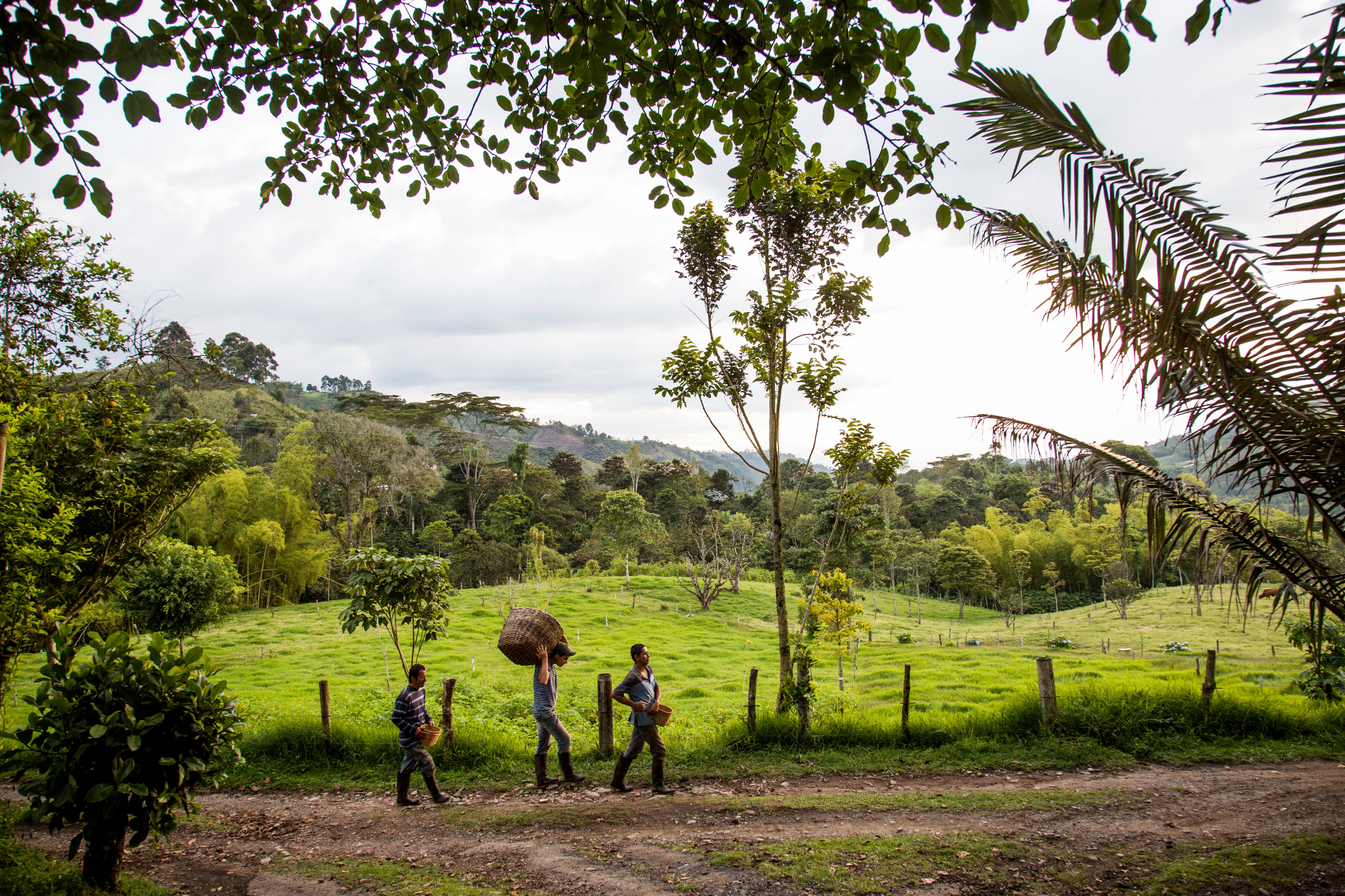 El 7 de noviembre de 2024, se realizará el evento El Futuro de la Colombia Agraria, en el Hotel Tequendama. | Foto: Getty Images