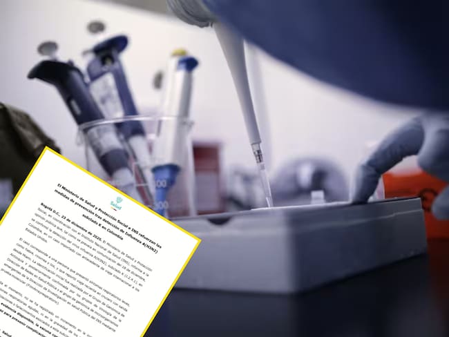 Virus influenza A(H3N2). Foto: Getty Images.