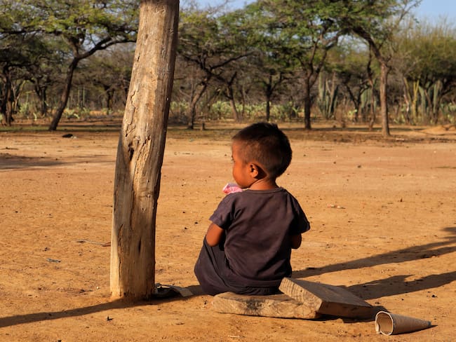 Niño wayúu con desnutrición crónica, imagen de referencia. (Colprensa - Nicolás Téllez)