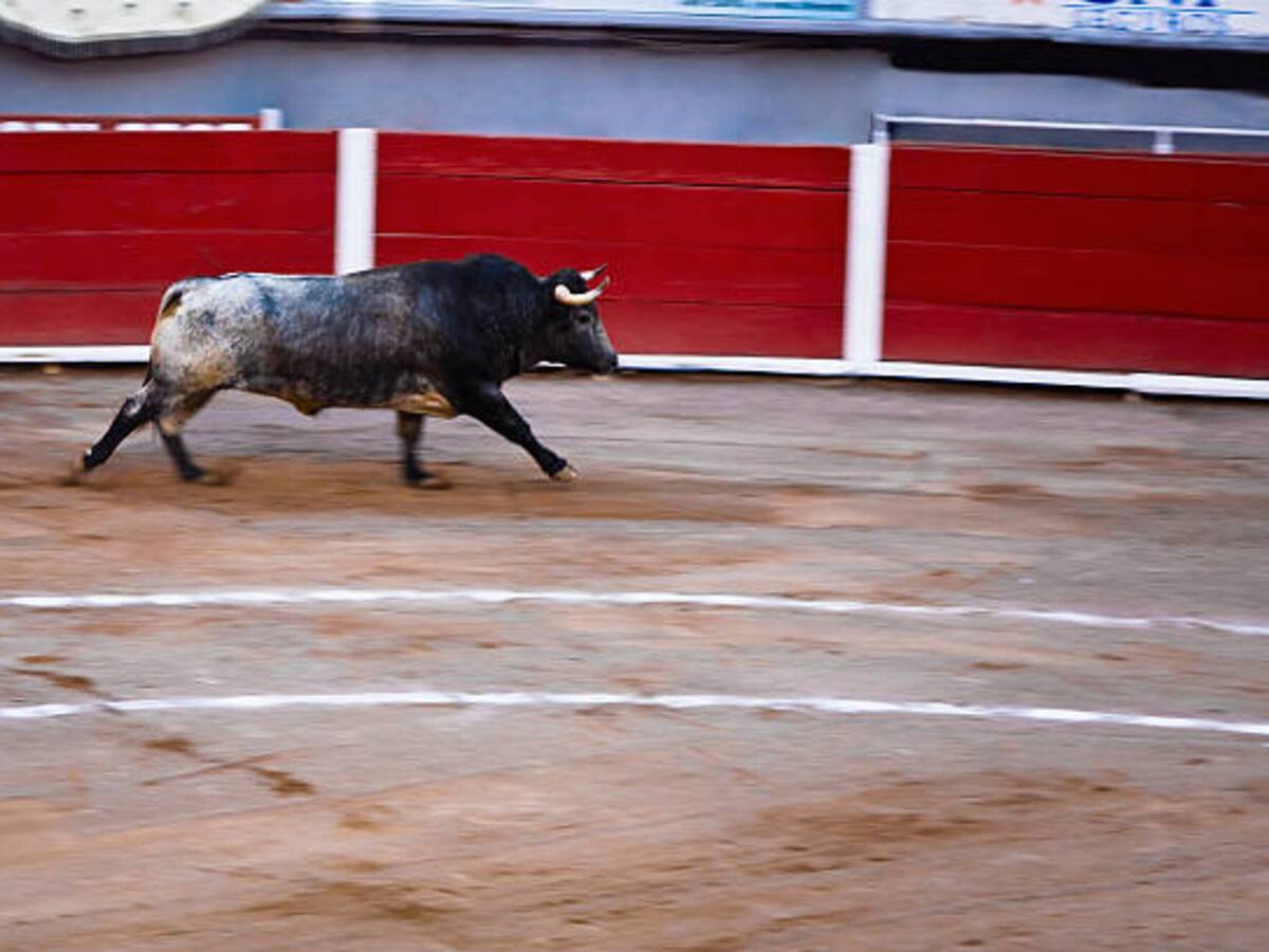 Alcalde de Plato, Magdalena, suspendió las fiestas de corraleja
