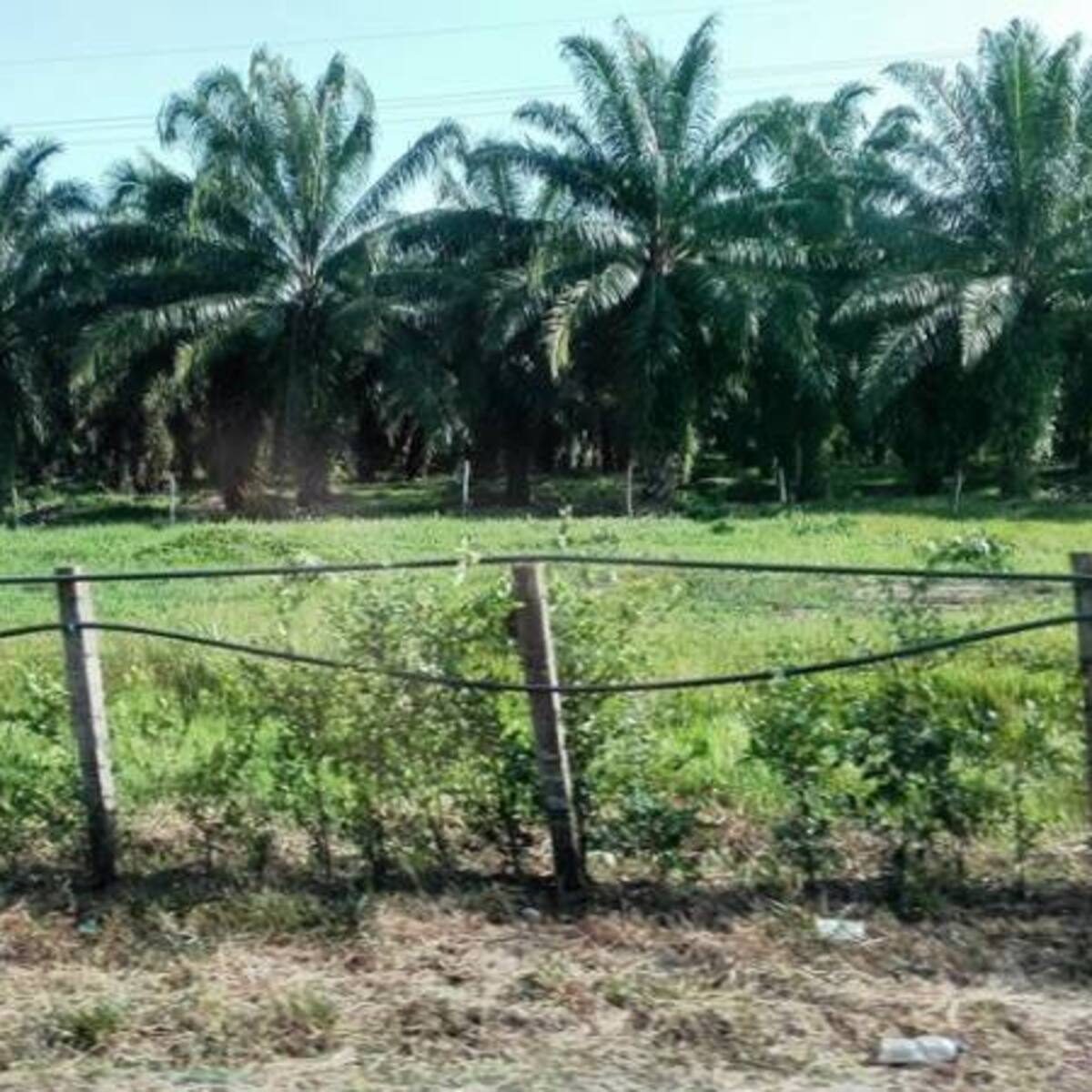 Extractora Catatumbo cerró su planta en Tibú tras amenazas y extorsiones