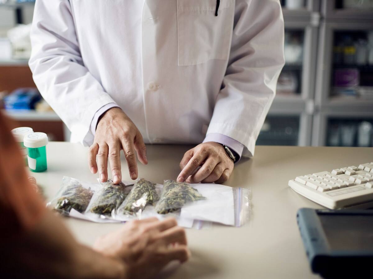 Se hundió el proyecto que regulaba el cannabis de uso adulto