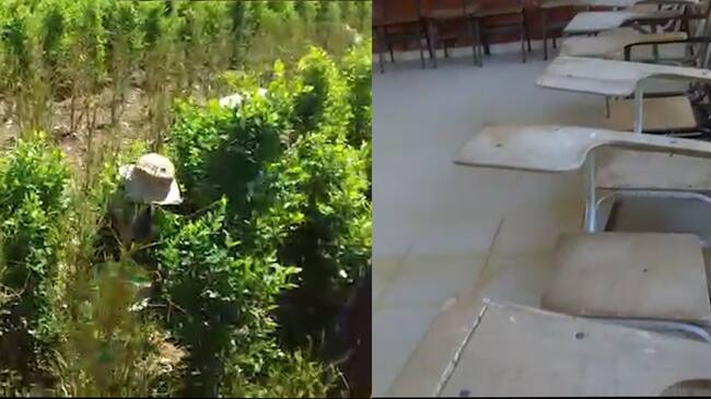 Denuncia ciudadana muestra las aulas vacías por ausencia de maestros. Los niños están en el campo cosechando hoja de coca. . Foto: Cortesía