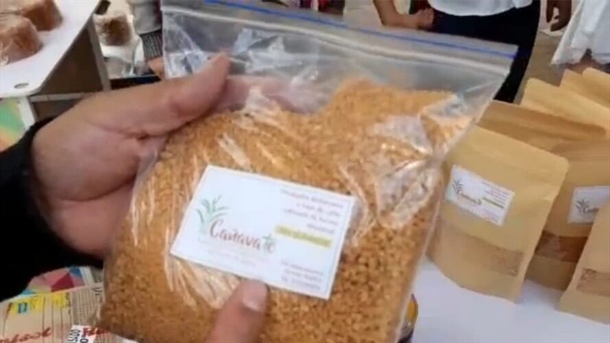 Esta semana el secretario de Agricultura, Luis Gerardo Arias, se reunirá con la viceministra de Asuntos agropecuarios del Ministerio Agricultura para hablar de generación de valor y agroindustria en e. Foto: