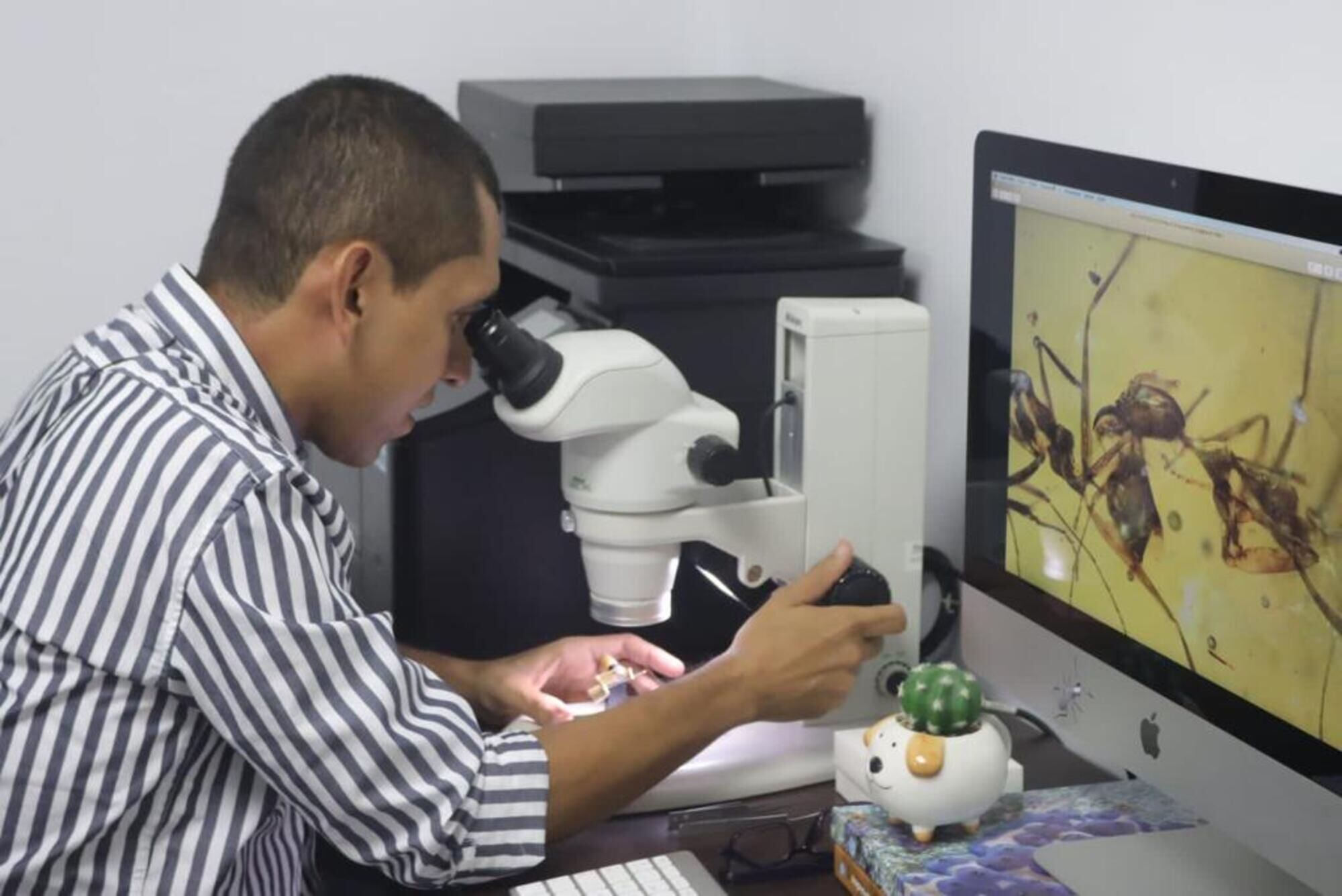 Roberto José Guerrero Flórez. Foto: Cortesía Universidad del Magdalena