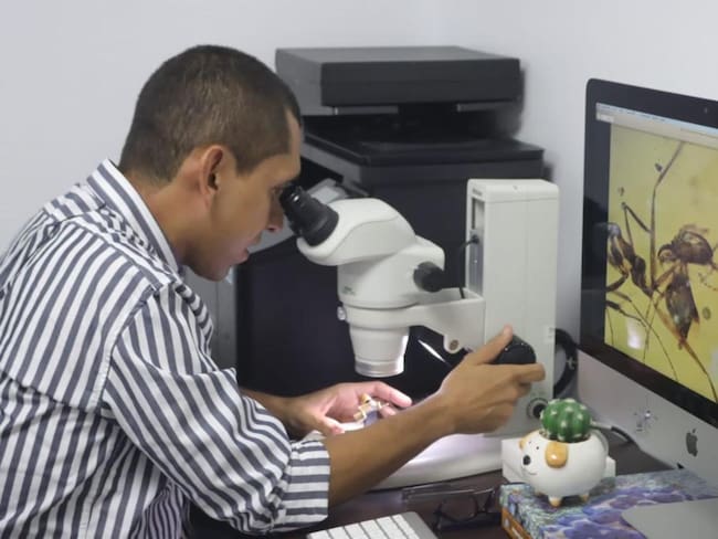 Roberto José Guerrero Flórez/ Universidad del Magdalena