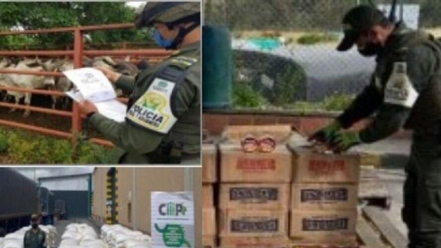 Incautación en productos agropecuarios. Foto: Foto tomada de https://www.ica.gov.co/