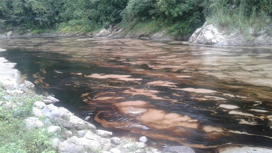 En lo corrido de este año, se han presentado 63 ataques contra este sistema de transporte de hidrocarburos. Foto: Ecopetrol