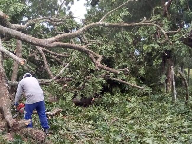 Las zonas tienen más de 10 horas sin el servicio. . Foto: Cortesía