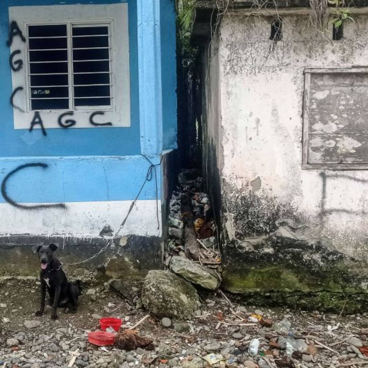 Se está muy cerca de pactar un cese al fuego con Gobierno: abogado de las AGC