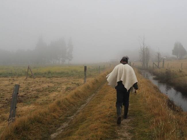 Alivio financiero para campesinos de Colombia endeudados. Foto: Colprensa