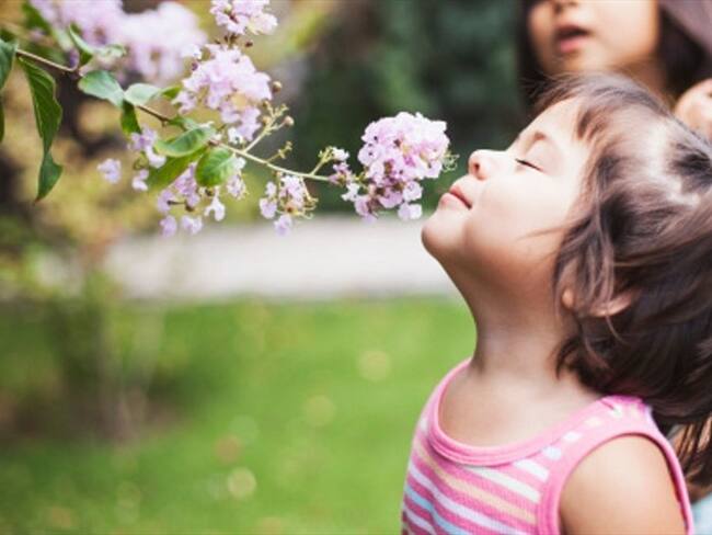 ¿Qué tanto influyen los olores al momento de recordar?