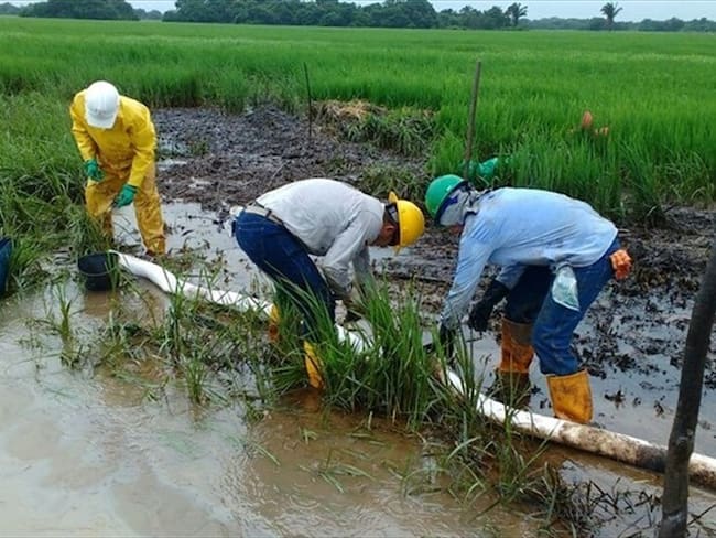 Autoridades en Boyacá dicen que informe de Ocensa sobre emergencia ambiental no es claro. Foto: Colprensa