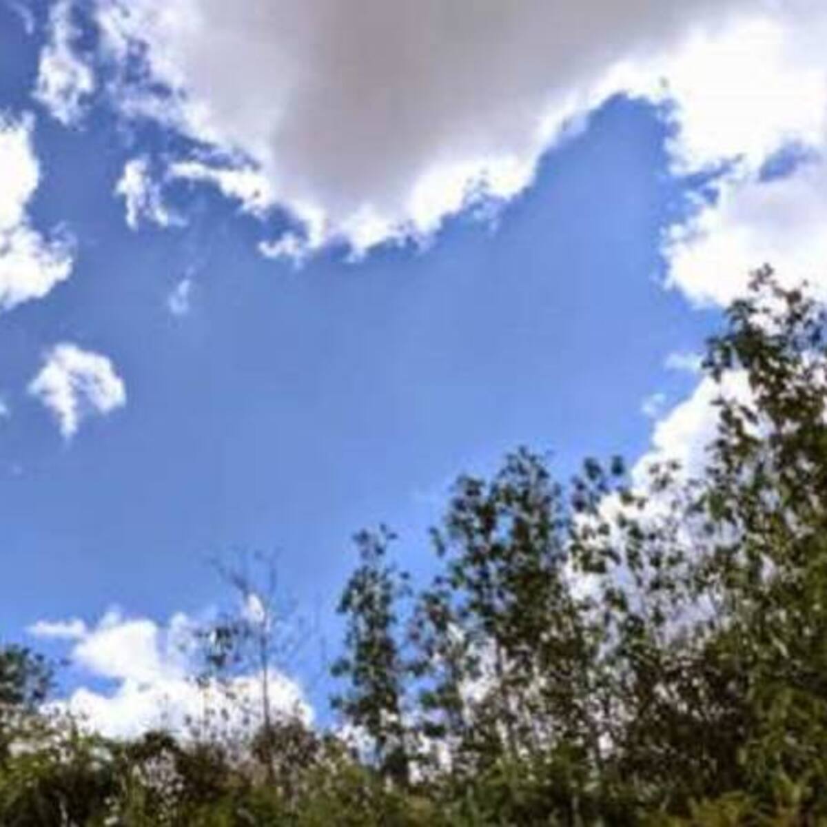 Debate: ¿Cómo resolver el proyecto de la av Boyacá sin afectar la reserva Van der Hammen?