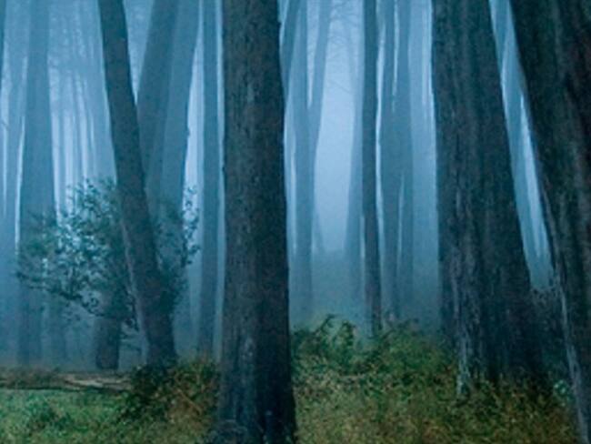 Imagen de referencia . Foto: BBC Mundo