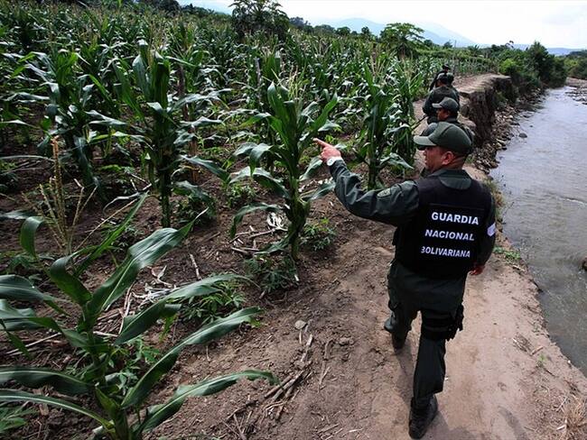 Colombia envió nota de protesta por incursión de la Guardia Venezolana en La Guajira. Foto: Getty Images