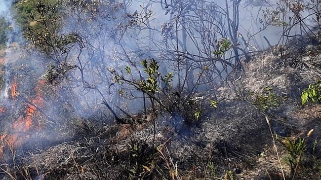 Imagen de referencia. Foto: Colprensa