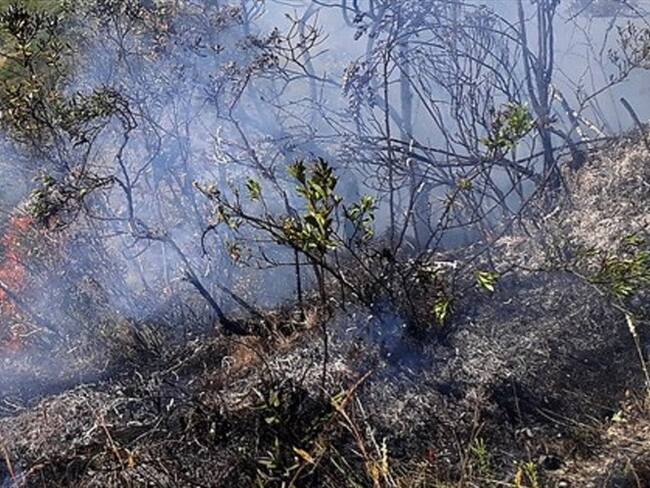 Imagen de referencia. Foto: Colprensa