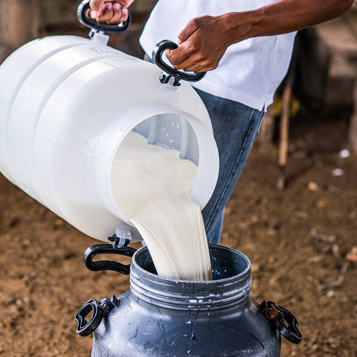 MinAgricultura aseguró que el país cuenta con suficiente abastecimiento de leche
