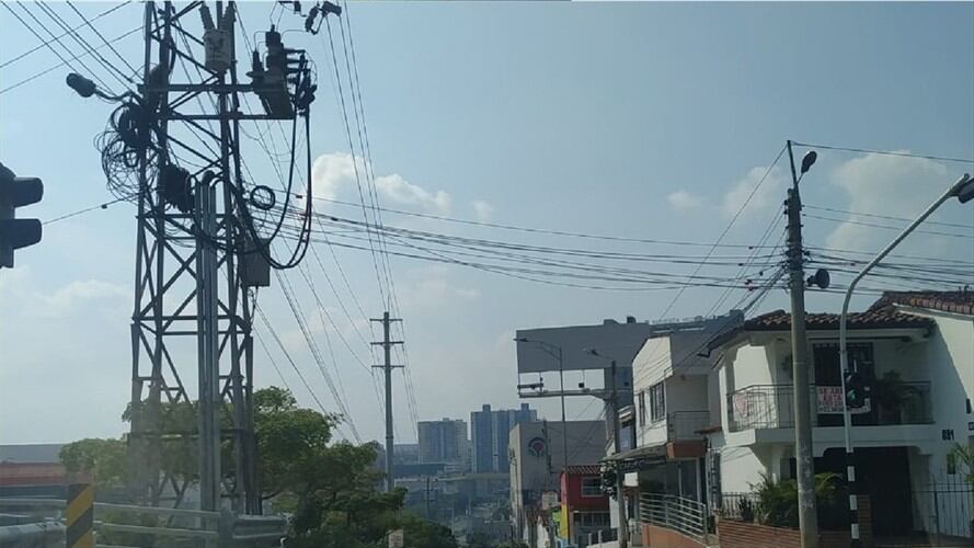 Pico y cédula par e impar . Foto: LA W.