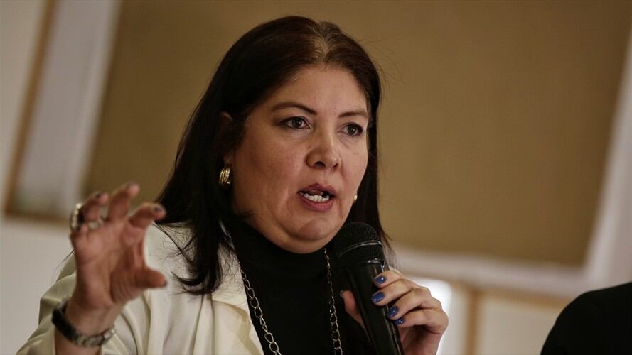 La directora de la Misión de Observación Electoral, Alejandra Barrios. Foto: Colprensa