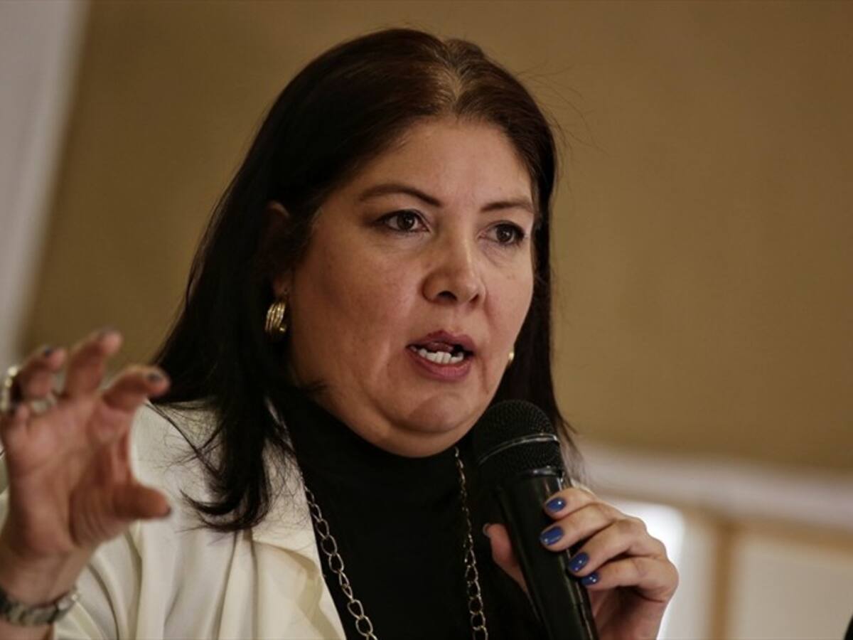MOE pide al Eln declarar cese al fuego unilateral en elecciones
