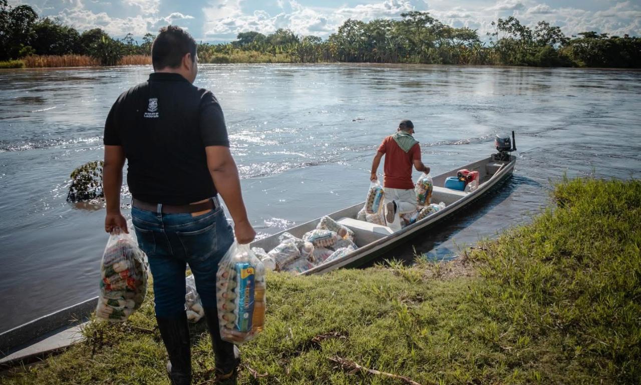 Foto de referencia y de archivo