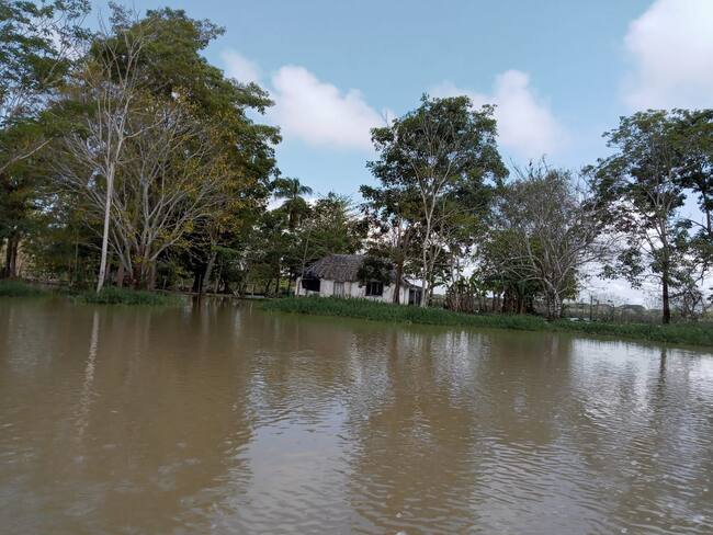 Inundaciones en zona rural de Ayapel, Córdoba. Foto: Claudia Hernández/ La W.