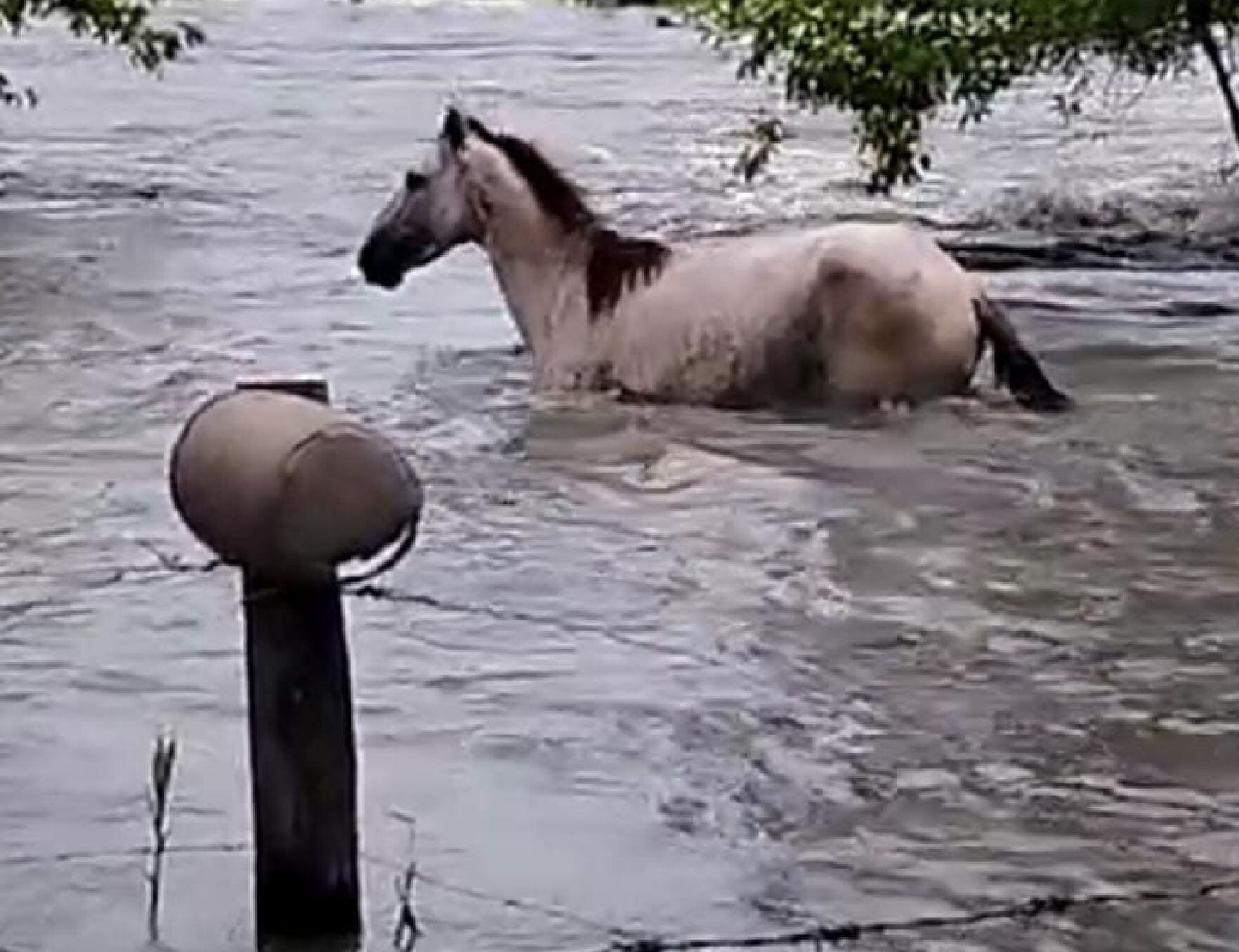 Inundaciones en Puerto Wilches, Santander. Foto: cortesía José Luis Bolívar.