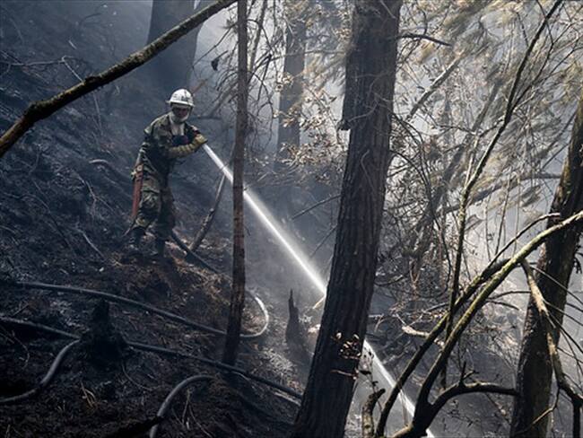 Incendio forestal en los cerros orientales de Bogotá. Foto: Colprensa