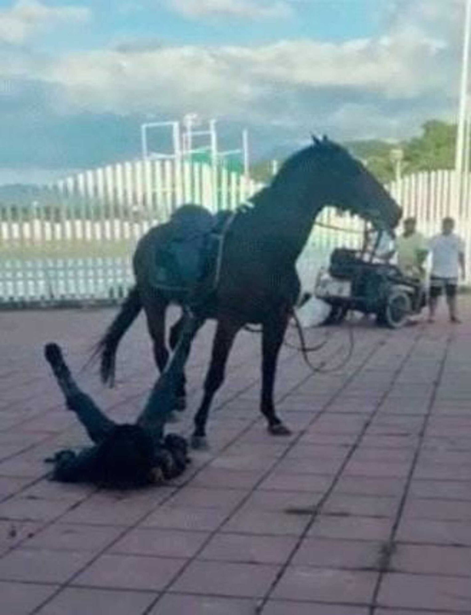 Uniformado herido/ Captura de vídeo/ cortesía 