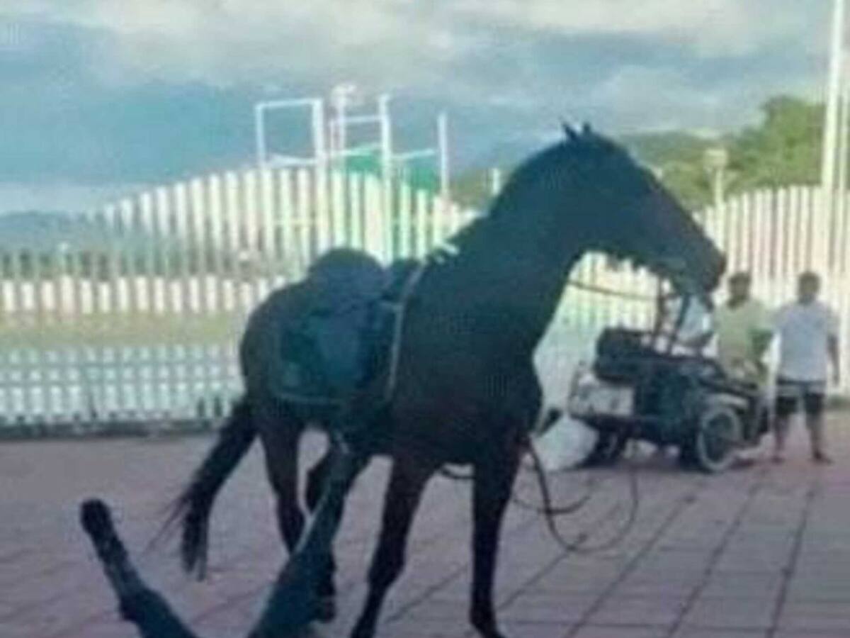 Con una piedra agredieron a carabinero de la Policía de Santa Marta