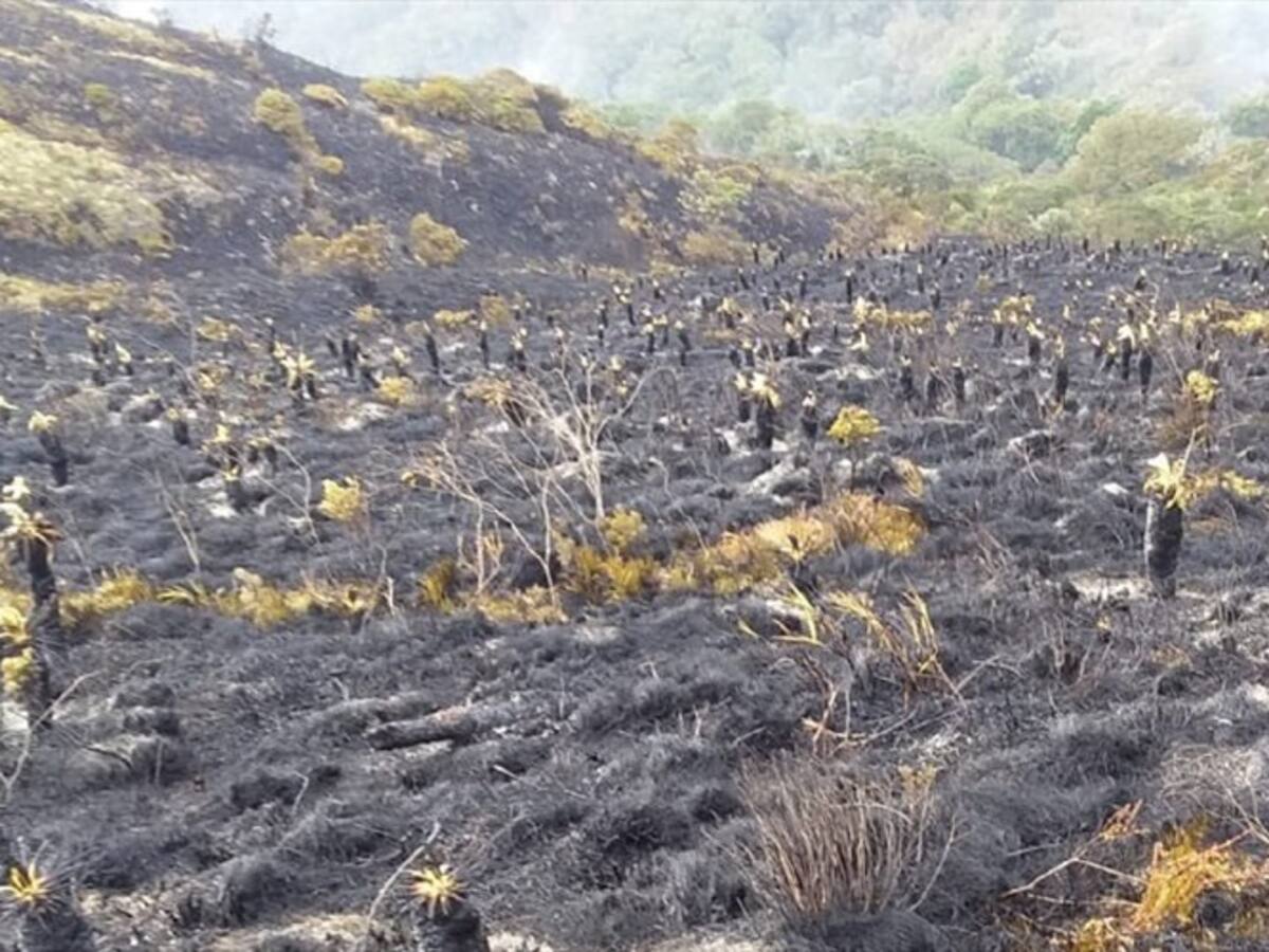 Relato estremecedor de campesinos de Suratá por incendio que no se controla en Santurbán