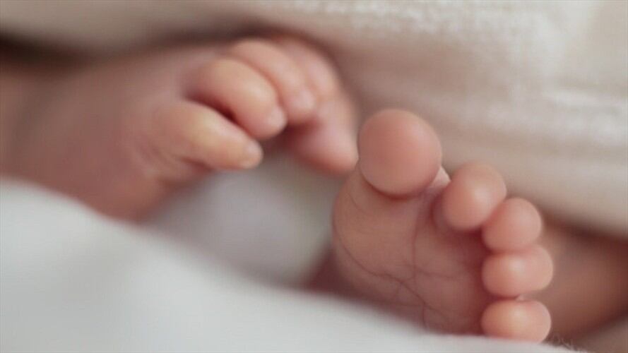 La historia de dos mellizos que son de diferente padre. Foto: Getty Images