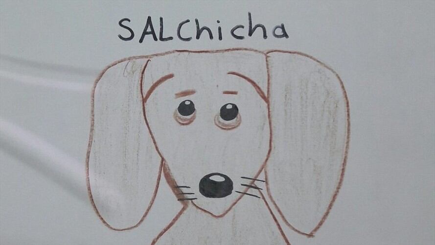 El niño, ubicado en México, tuvo que recurrir a sus dibujos porque no tenía fotos de la perrita llamada Estrella.. Foto: Twitter