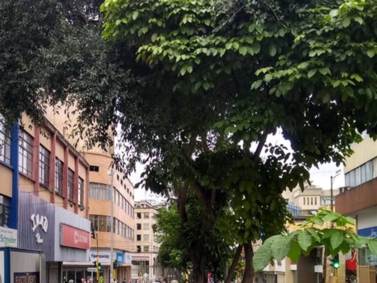 Comerciantes de Bucaramanga afectados por paro