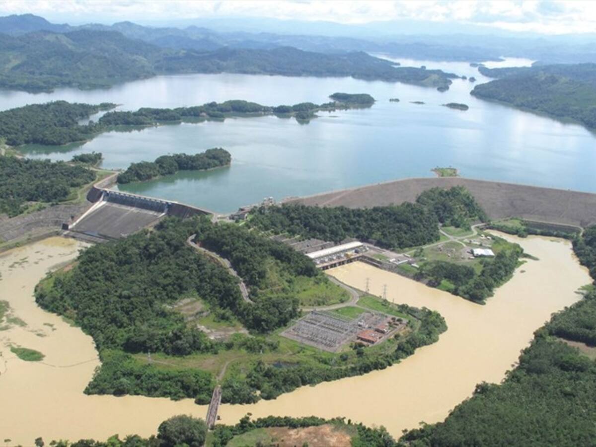 Expedición en el Alto Sinú encontró 30 nuevas especies de aves