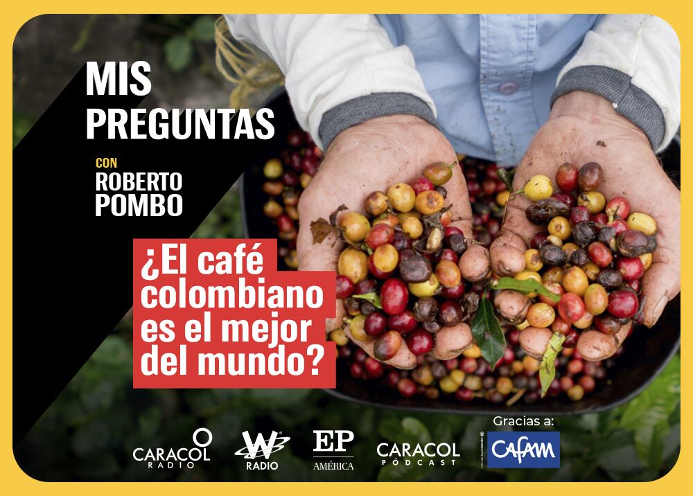 Mis Preguntas, con Roberto Pombo: ¿el café colombiano es el mejor del mundo? | Foto:  W Radio.