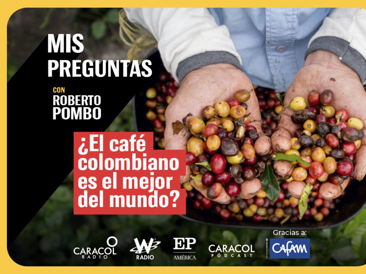 Mis Preguntas, con Roberto Pombo: ¿el café colombiano es el mejor del mundo?