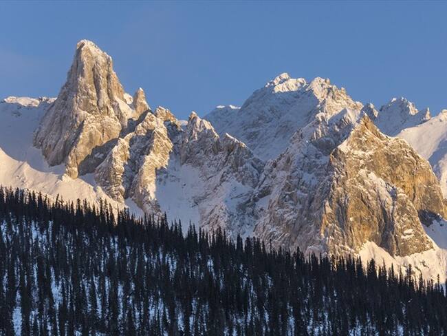 La impactante historia del hombre que sobrevivió tres semanas al invierno de Alaska