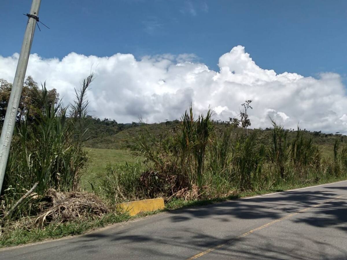 Contraloría abre investigación por sobrecostos en luminarias de Restrepo, Valle