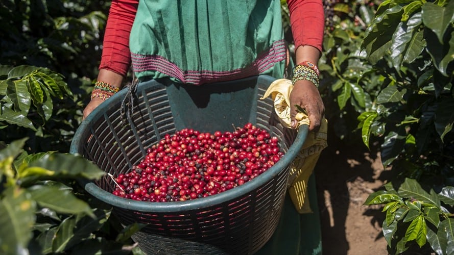 Imagen de referencia. Foto: Getty Images