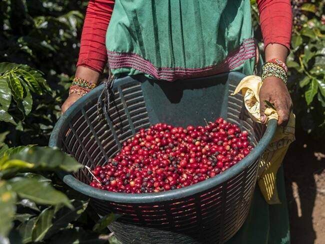 Imagen de referencia. Foto: Getty Images
