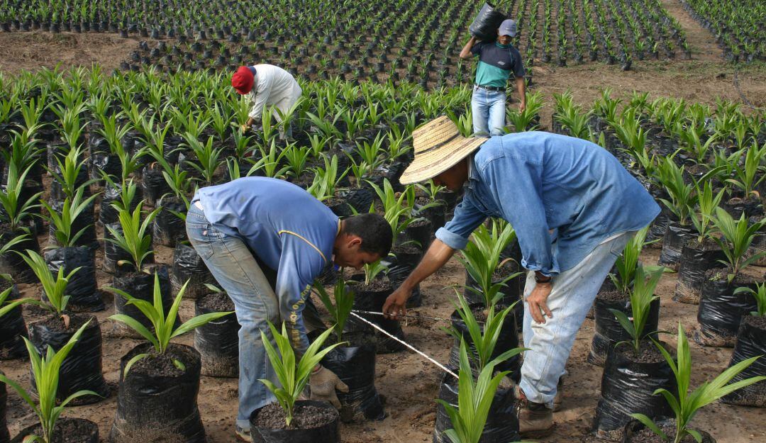 Intercambio de experiencias en producción agraria. Imagen de referencia