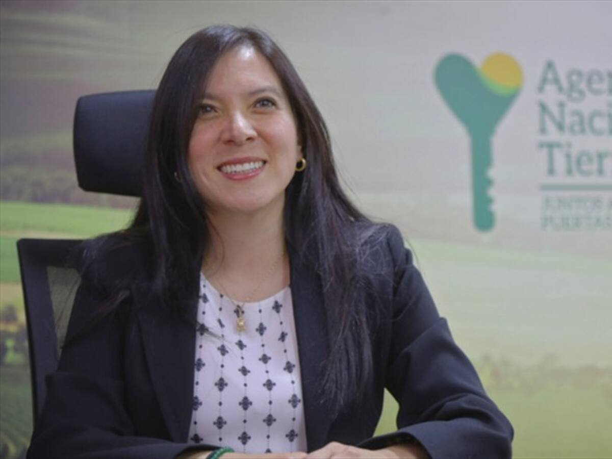 Todavía tengo 40 mil cajas sin abrir llenas de solicitudes: directora de ANT