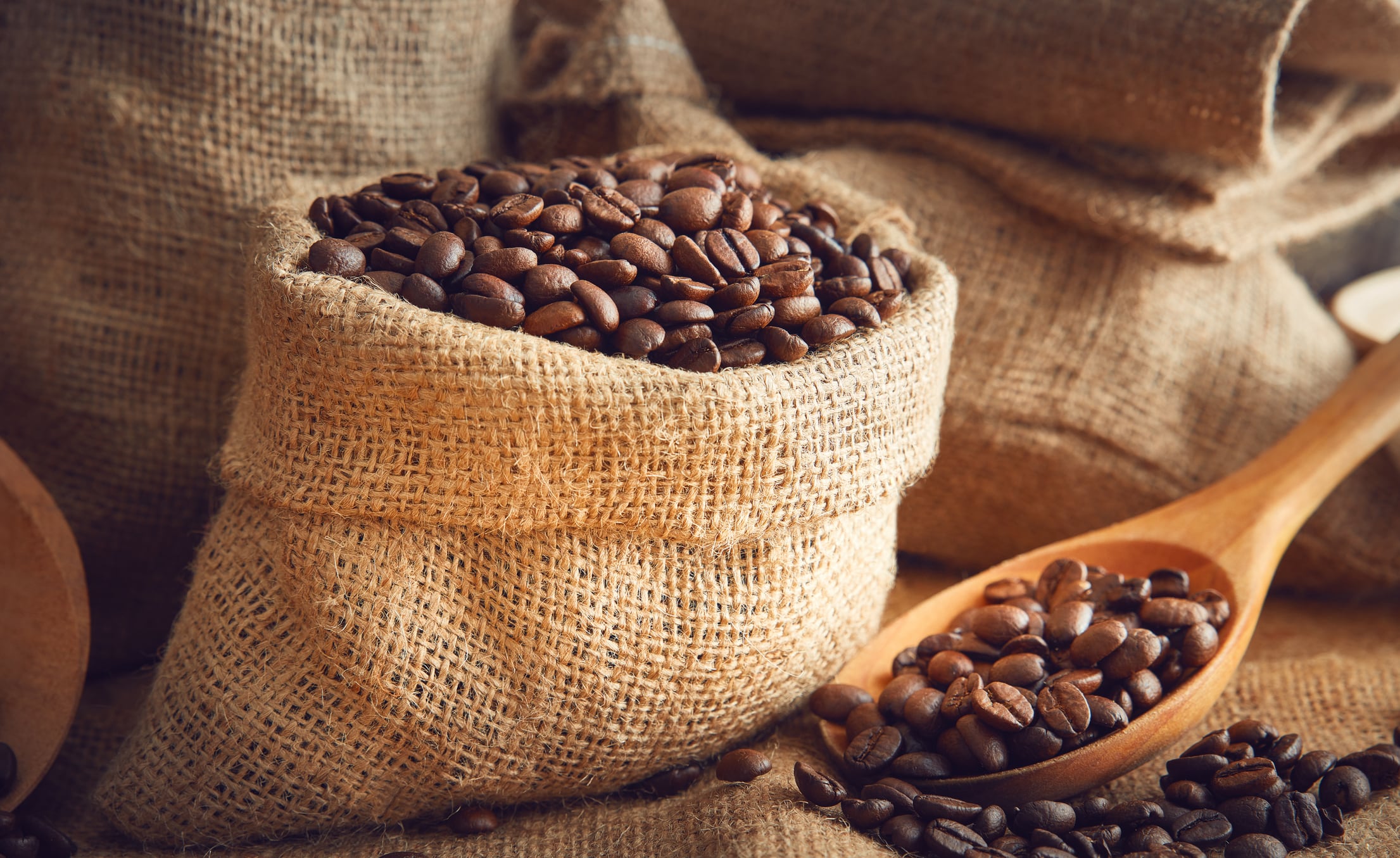 Imagen de referencia de café. Foto: Getty Images