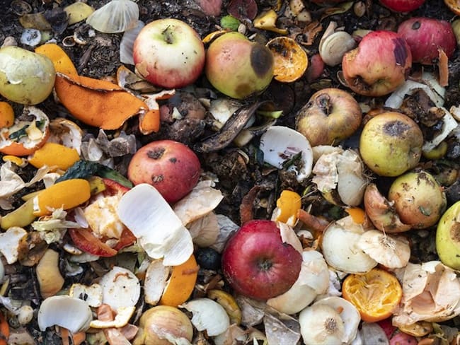 El 40% de la comida que se produce en Colombia no se consume