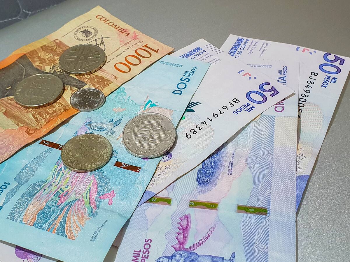 Ingreso solidario en la semana del 14 al 18 de noviembre: ¿quién cobra y cómo?